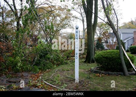 Tree branches pulling down wires in Babylon Village after Super Storm Sandy Stock Photo