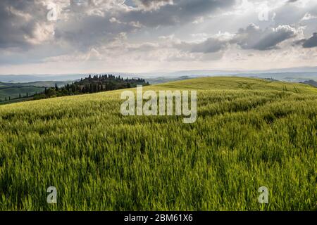 Die Landschaft des Val d’Orcia (Orciatal), Toskana, Italien Stock Photo