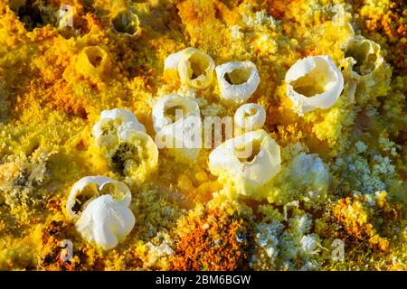 Colorful landscape of Dallol terrestrial hydrothermal system - hydrothermal chimneys, salt pillars and terraces in Danakil desert, Ethiopia Stock Photo