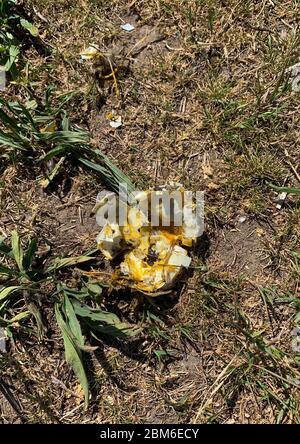 Eggshell broken on the floor Stock Photo