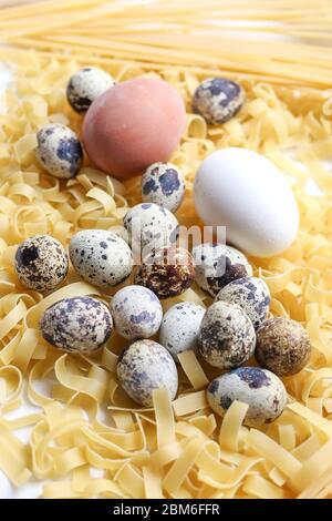 chicken and quail eggs in nest on pasta background, family concept, selective focus Stock Photo