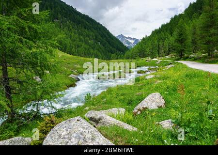 Hiking through the Reintal near Sand in Taufers towards Knuttenalm in South Tyrol. Stock Photo