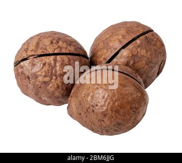 Macadamia nut on white background. Clipping path Stock Photo