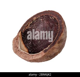 Macadamia nut on white background. Clipping path Stock Photo