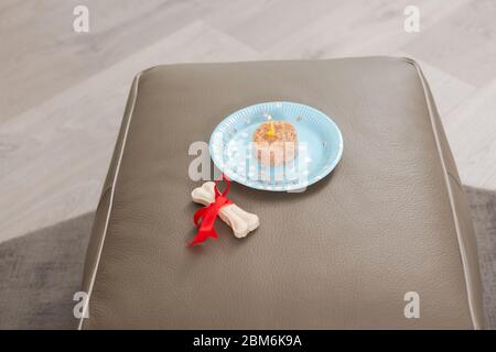 Dog food at paper plate with candle and chewing bone with red ribbon on pet place, birthday of domestic animal Stock Photo