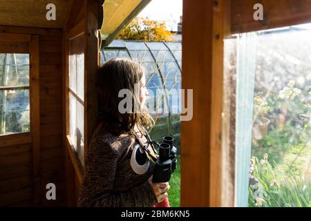Young girl birdwatching from a garden shed, Kent, UK Stock Photo