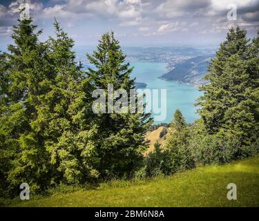 Scenic alpine view in a cloudy summer day with Switzerland blue water lakes in background framed by pine tree close up Stock Photo