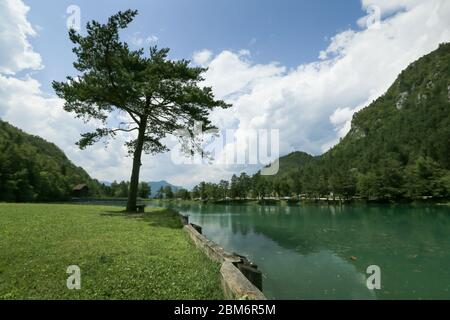 Zavrsnica lake near Jesenice in Slovenia, Europe on a beautiful summer morning. Stock Photo