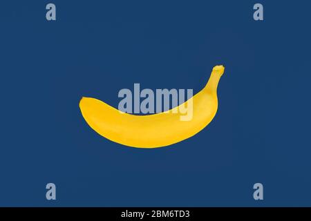 toy yellow plastic banana on blue colored background Stock Photo