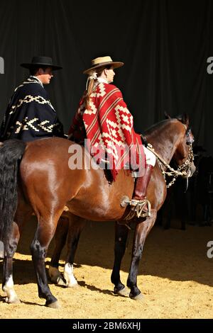 Woman gaucho on horses in traditional costumes in Salta, Argentina ...