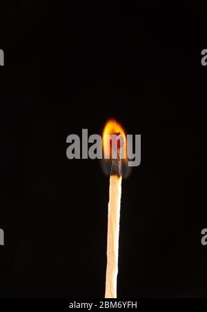 A burning matchstick on black background Stock Photo