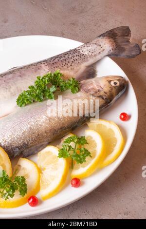 Fresh trout fish with lemon parsley cranberries. Healthy food rich in omega and protein. Cooking concept, raw uncooked fish in plate Stock Photo