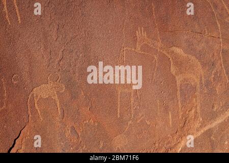 Bushman engravings at Twyfelfontein, UNESCO World Heritage site, Damaraland, Kuene Region, Namibia Stock Photo