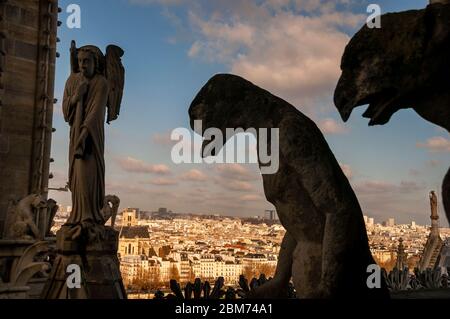 Gargoyles are grotesque creatures guarding over the city of Paris from a narrow walkway that runs between two towers of the Notre Dame Cathedral. Stock Photo