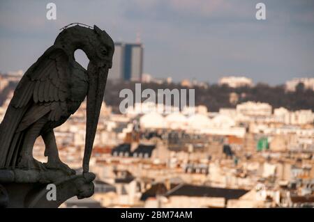 Gargoyles are grotesque creatures guarding over the city of Paris from a narrow walkway that runs between two towers of the Notre Dame Cathedral. Stock Photo