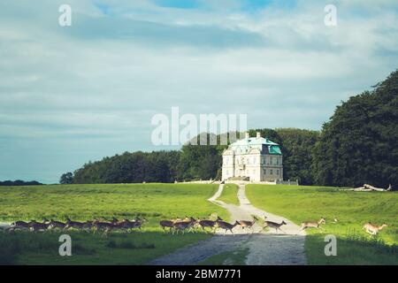 The Hermitage, a royal hunting lodge in Klampenborg of Denmark. Dyrehaven is a forest park north of Copenhagen. Stock Photo