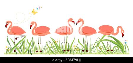 Flamingos. Exotic bird. Different poses Stock Vector