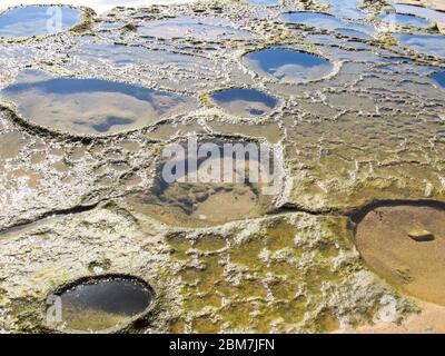 Potholes of various shapes in beach rock, in the tidal zone of the east coast of KaNyaka Island, Mozambique Stock Photo