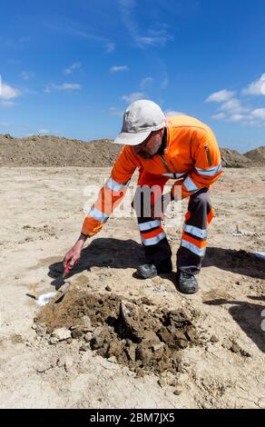 RODBY, DENMARK - MAY 06, 2020:  Archaeologist from Museum Lolland-Falster in Denmark, Søren Jensen, at  work with his brick trowel at the  1 km long and 15 meter wide excavation pit which have revealed a 2.000 years old Iron Age defence belt at the soon to come Fehmernbelt Tunnel  construction site in the south-eastern  Denmark at the Baltic Sea shoreline. The defence line consist of some 5.000 holes, probably with hidden sharp oak spikes so an invading force coming from the sea, maybe from Northern Germany, would be injured by spikes penetrating their feet, or horses would plunge to the groun