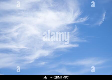 blue sky background with tiny clouds.Beautiful large clouds floating in the sky. funny shaped cloud. sunny day. Freedom and happiness cocncept. Stock Photo