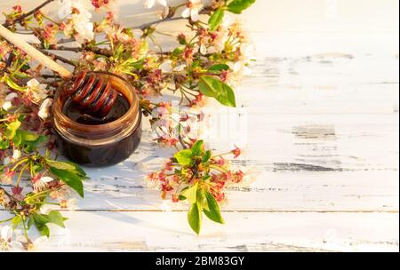 Jar of chocolate honey with spring flowers on white wooden background. Free copy space. Stock Photo