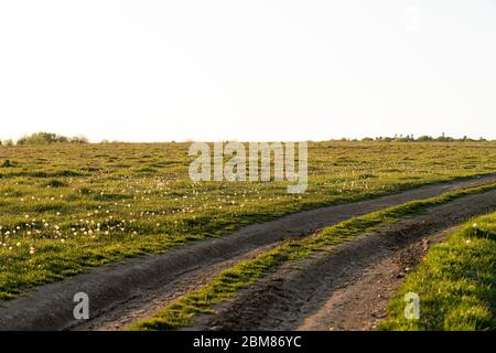 Dirt road among the green meadow with blue sky on the background Stock Photo