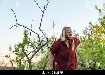 Tired old woman in red sweater stands near a dried tree Stock Photo