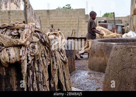 People processing snake skins in a tannery. Stock Photo