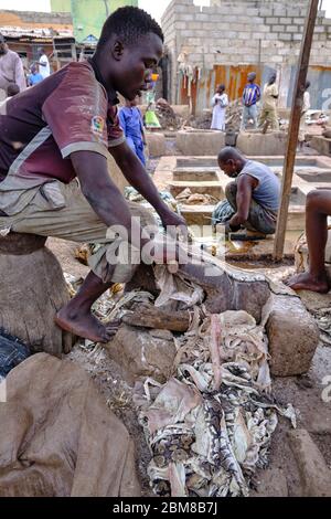 People processing snake skins in a tannery. Stock Photo