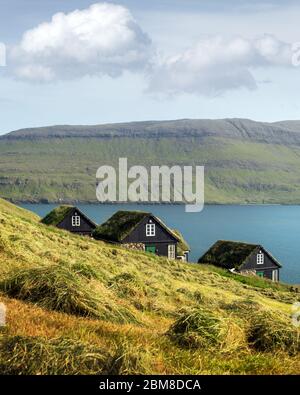 Picturesque view of tradicional faroese grass-covered houses in the village Bour during autumn. Vagar island, Faroe Islands, Denmark.