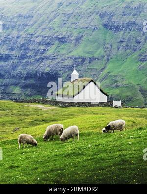 Summer view of traditional turf-top church Saksunar Kirkja in Saksun village. Beauty landscape with sheeps and high mountains. Streymoy island, Faroe Islands, Denmark. Stock Photo