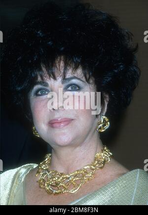 Elizabeth Taylor, 1994, Photo By Michael Ferguson/PHOTOlink ...