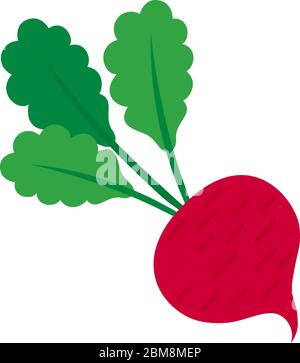 Isolated beet icon Stock Vector