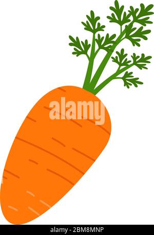 Isolated carrot icon Stock Vector