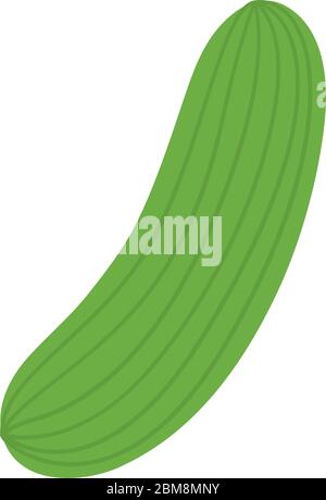Isolated cucumber icon Stock Vector
