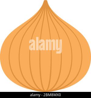 Isolated onion icon Stock Vector