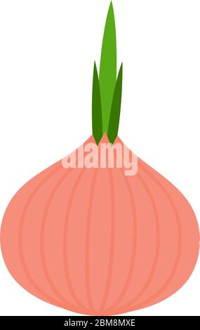 Isolated onion icon Stock Vector