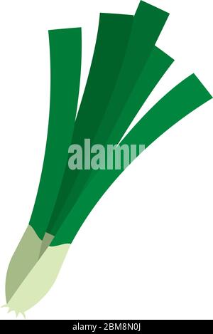 Isolated scallion icon Stock Vector