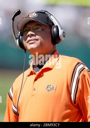 Cincinnati Bengals running back Chris Perry during the team's first  practice at training camp, Monday, July 28, 2008, in Georgetown, Ky. (AP  Photo/Al Behrman Stock Photo - Alamy