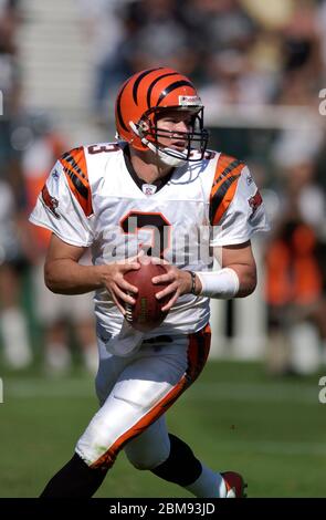 Remembering the best moments of Jon Kitna's career with the Bengals - Cincy  Jungle