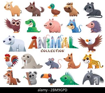 Vector illustration of Wild animals cartoons collection Stock Vector