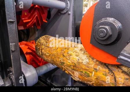 Modern Sawmill. Process of machining logs in equipment sawmill machine saw. Stock Photo