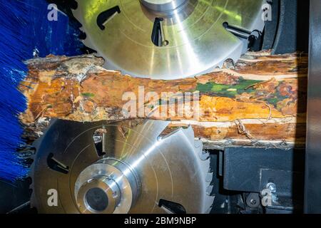 Modern Sawmill. Process of machining logs in equipment sawmill machine saw. Stock Photo