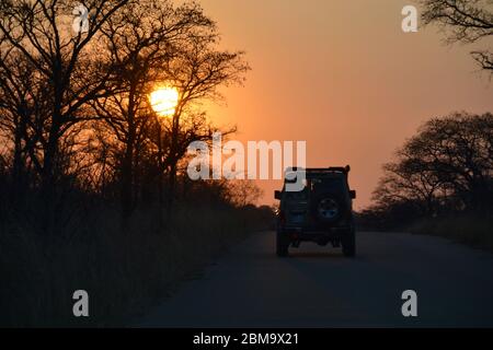Four wheel drive overland off-road vehicle heading into the African sunset in silhouette as the sun drops behind the thorn trees Stock Photo