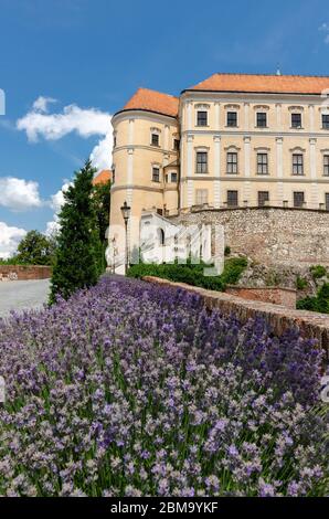 Mikulov, Moravia, Czech Republic; June 16, 2018: Mikulov castle seen from its garden area with a lavender flower bed Stock Photo