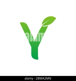 Y green leaf letter logo design vector Stock Vector