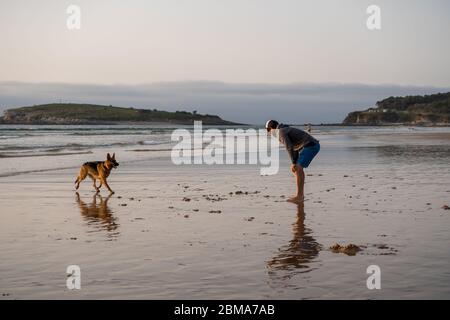 Man and dog german shepherd playing on the beach at sunset. Owner with pet off the leash running free at a Dog friendly beach, pet friendly vacation d Stock Photo