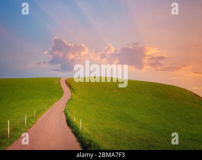 dreamy path on meadow in countryside Stock Photo