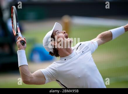 July 8th 2016, Wimbledon, London, Mens singles semi-final Tomas Berdych v Andy Murray. Andy Murray serving during the match on Centre Court. Stock Photo