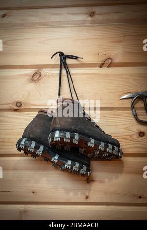 Vintage climbing leather boots hang on a wooden wall. Antique Climbing Equipment Stock Photo